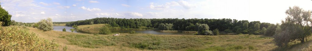 Ставок возле с. Михайловка (панорама), Елизаветградка