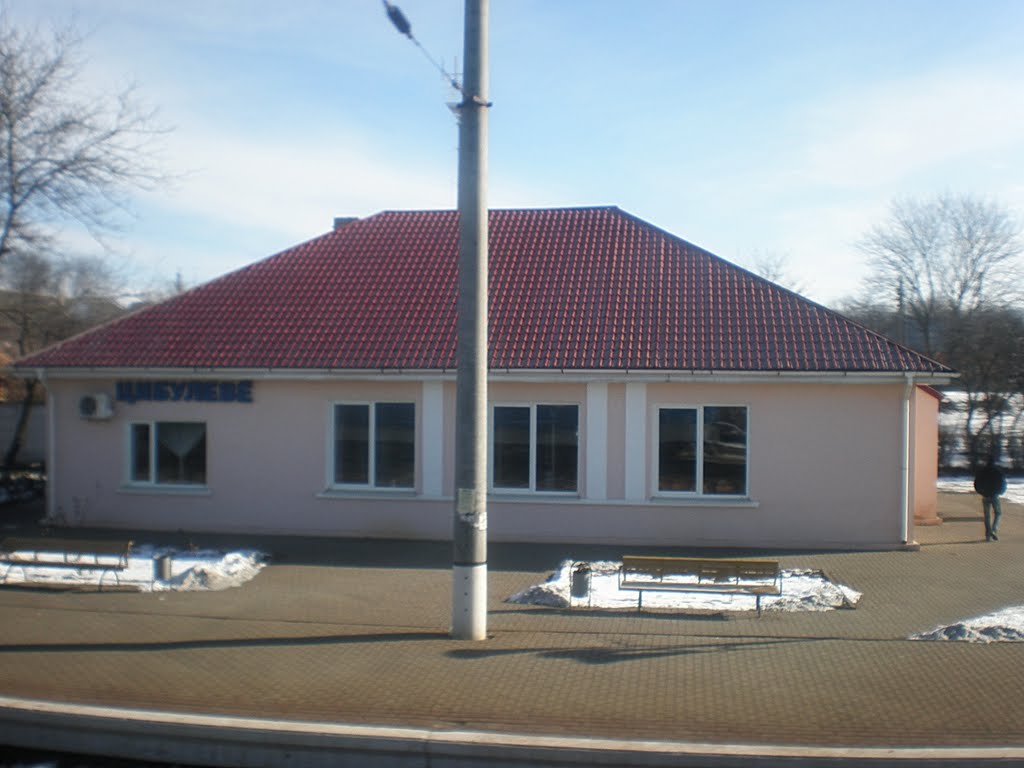 село Цибулеве залізнична станція, Елизаветградка