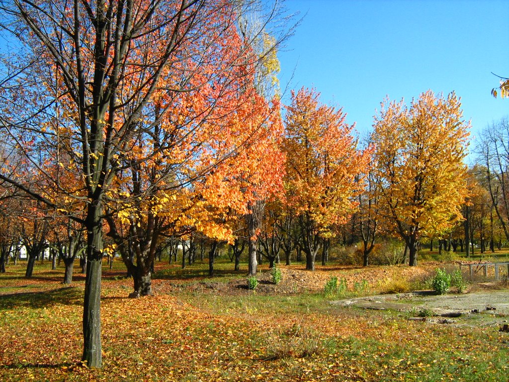 Park in Zavalya, Завалье