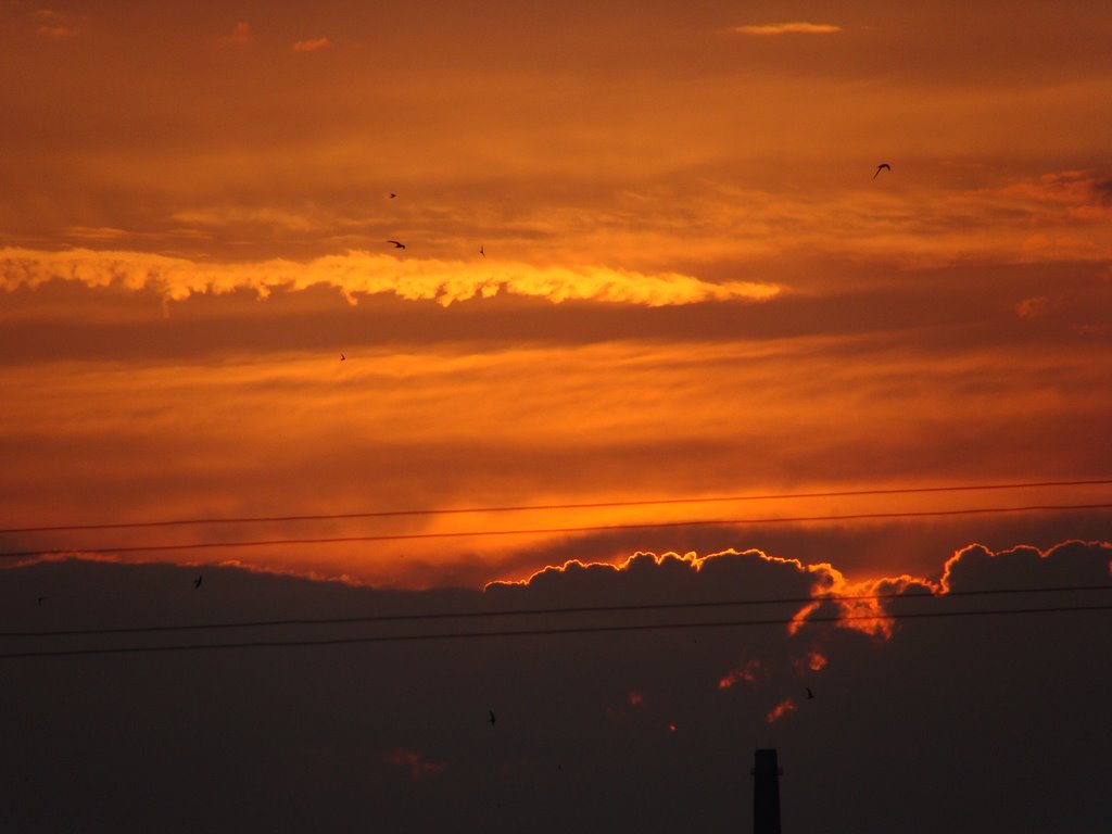 Захід сонця над Зіркою (заводом) / Sunset above a factory, Кировоград
