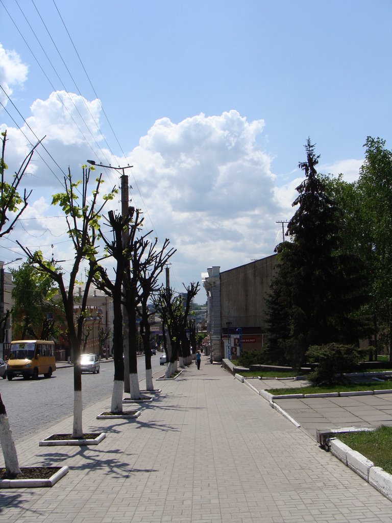Велика Перспективна, біля наукової бібліотеки / near a scientific library, Кировоград