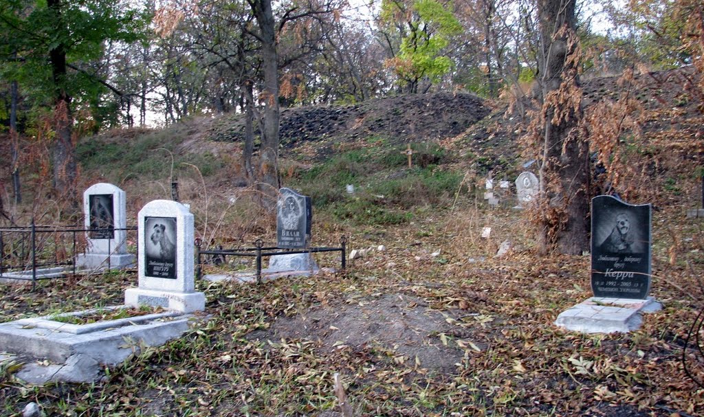 Pet Cemetery, Кировоград