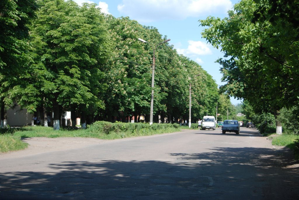 главная улица города, Малая Виска