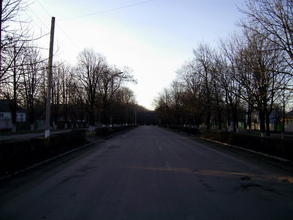 Головна вулиця міста (Біля будинку Саніча), Малая Виска