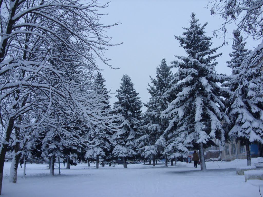Зима (после снегопада), Малая Виска