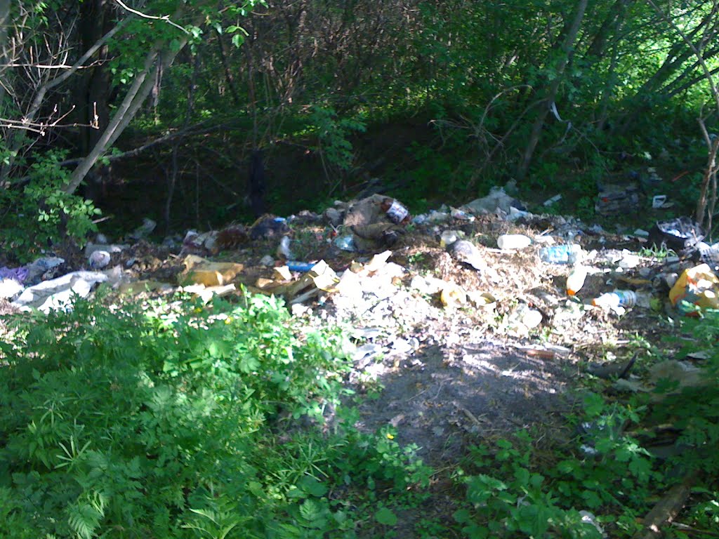 мусорка в низах, Новоархангельск