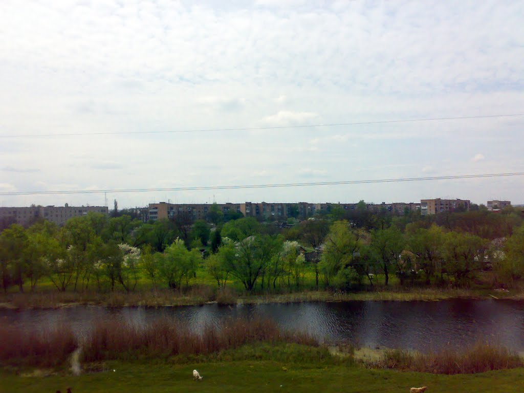 Велика Вись, вигляд на центр міста, Новомиргород