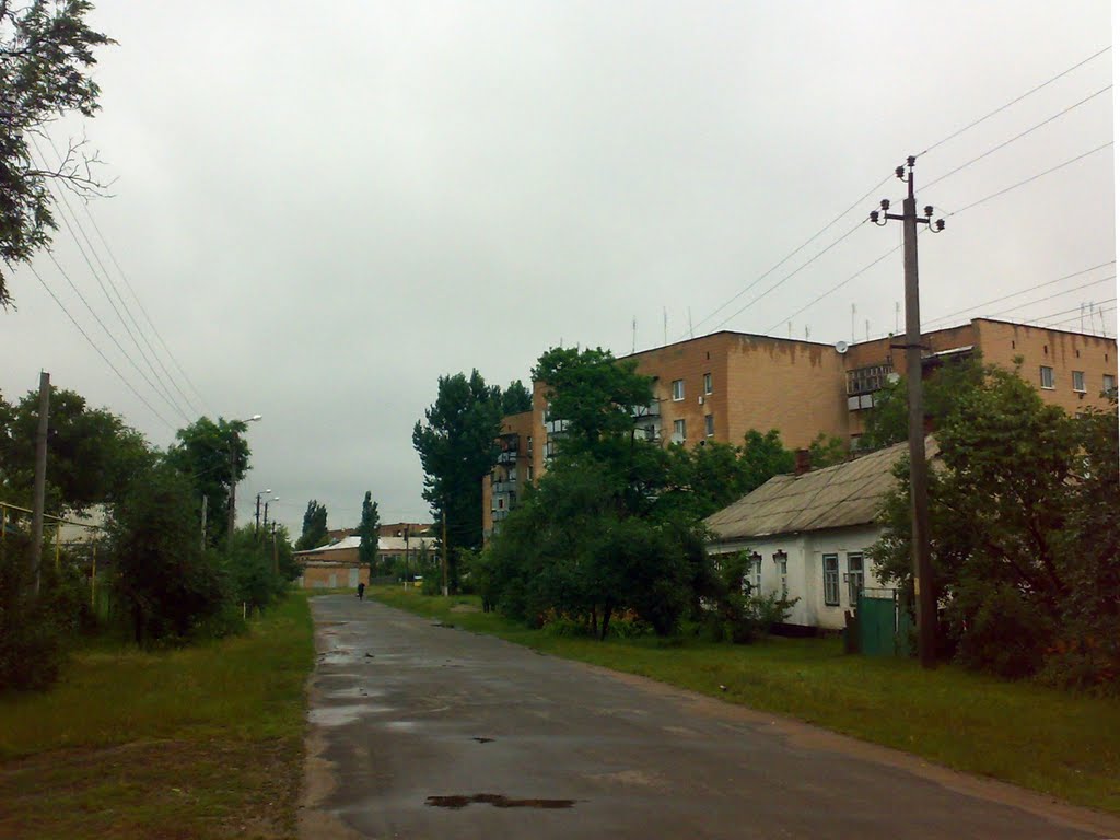 Вулиця Лесі Українки, Новомиргород
