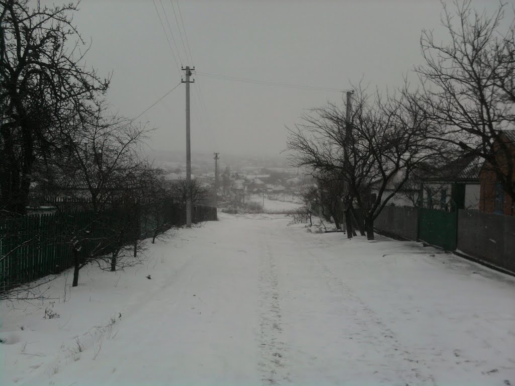 Зима 2009, Новоукраинка