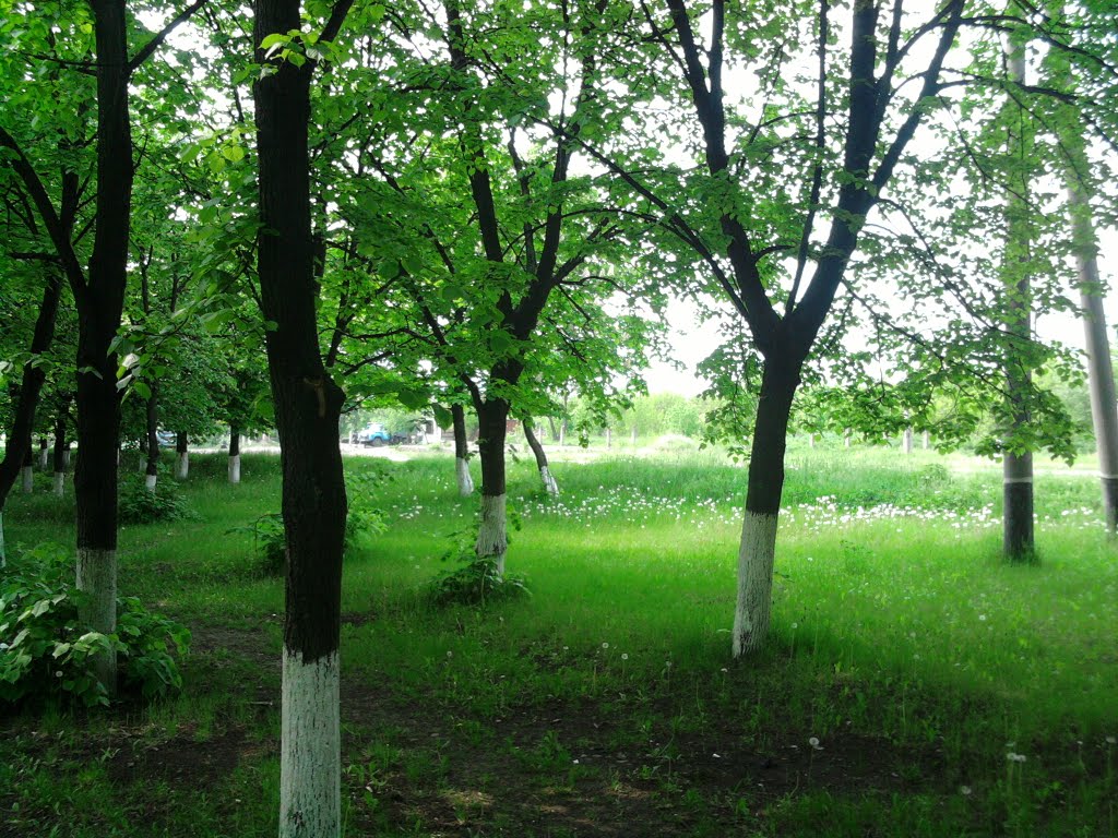 Весна, Новоукраинка