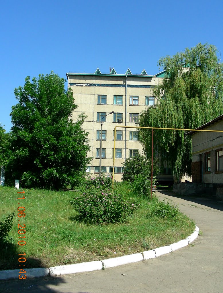 Стационарное отделение петровской больницы, Петрово