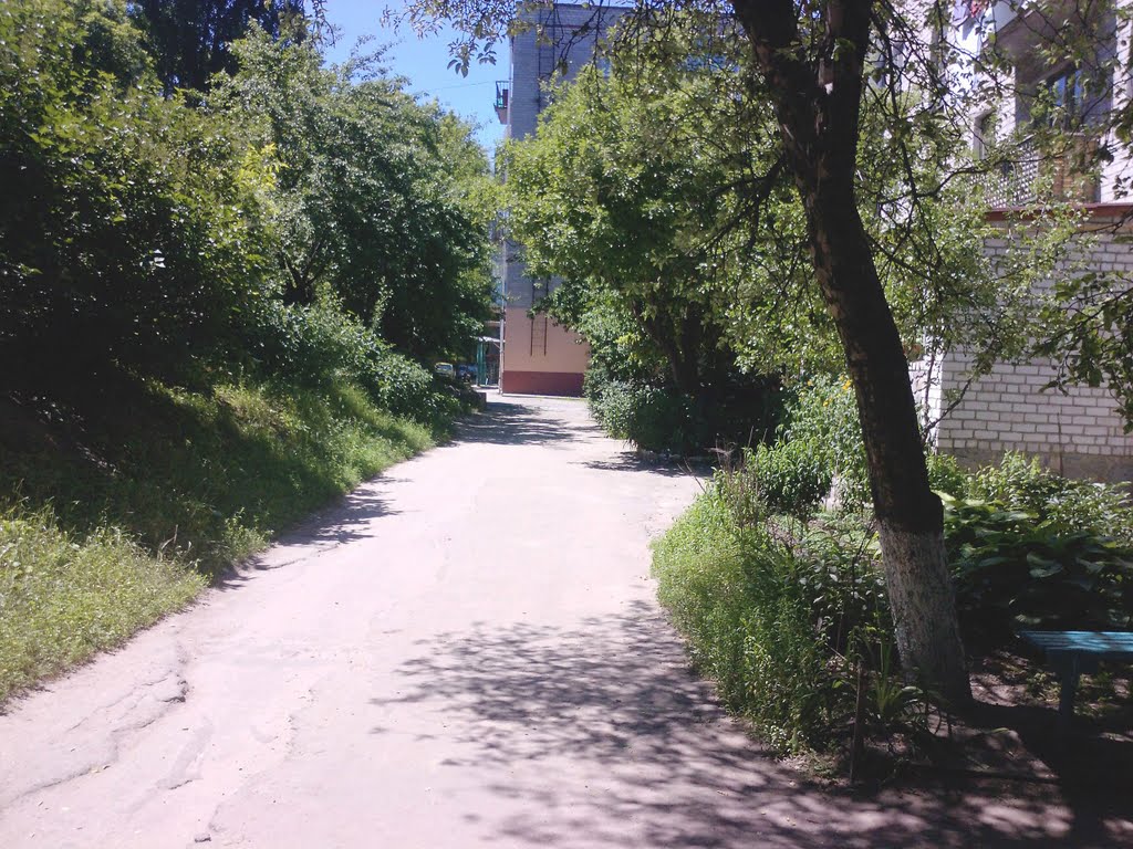 Улциа Ленина, Светловодск