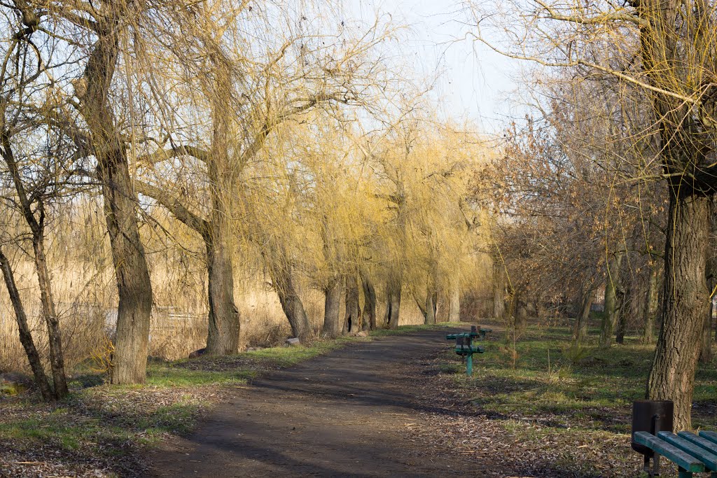 парк г. Ульяновка, Ульяновка