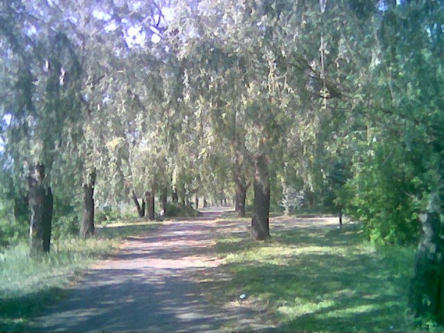 Набережная алея в парку, Ульяновка