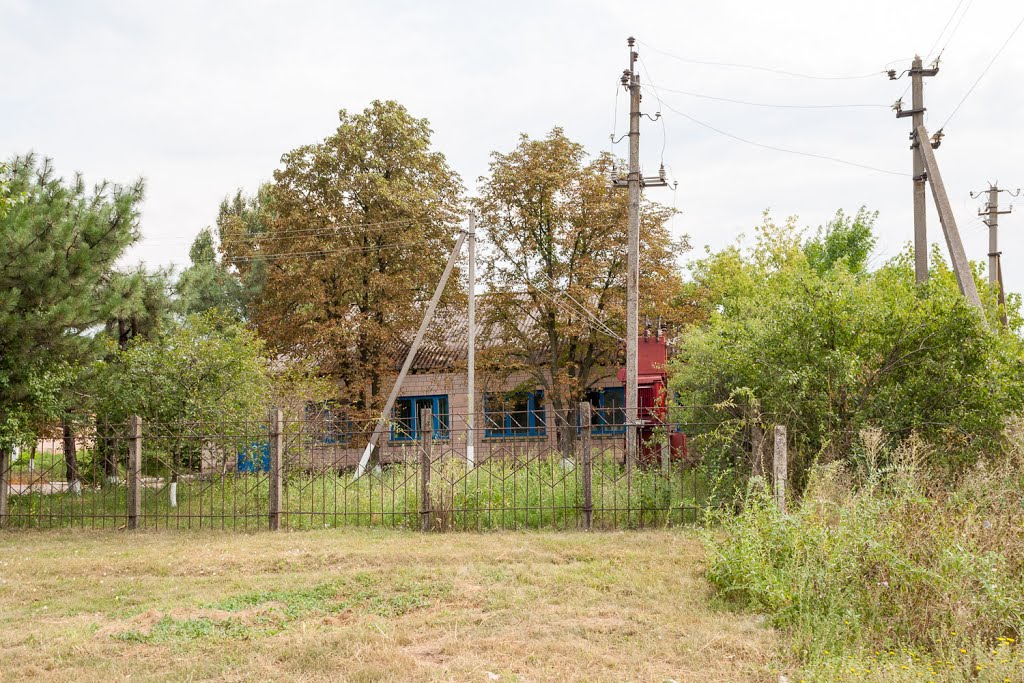 Poultry Station (Птахівницька станція), Устиновка