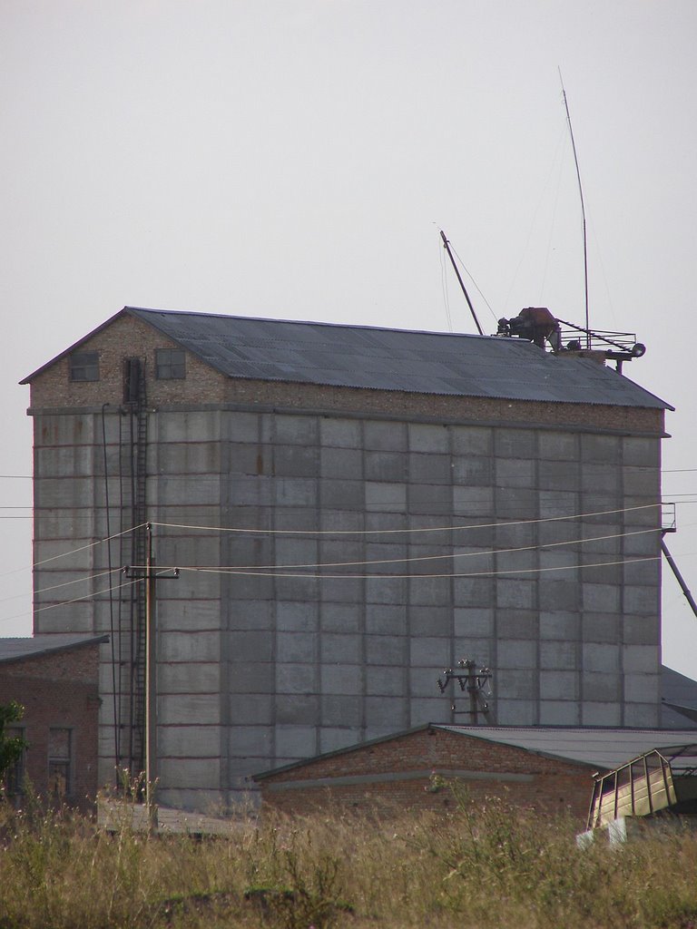 Provender mill (Комбикормовый завод), Устиновка