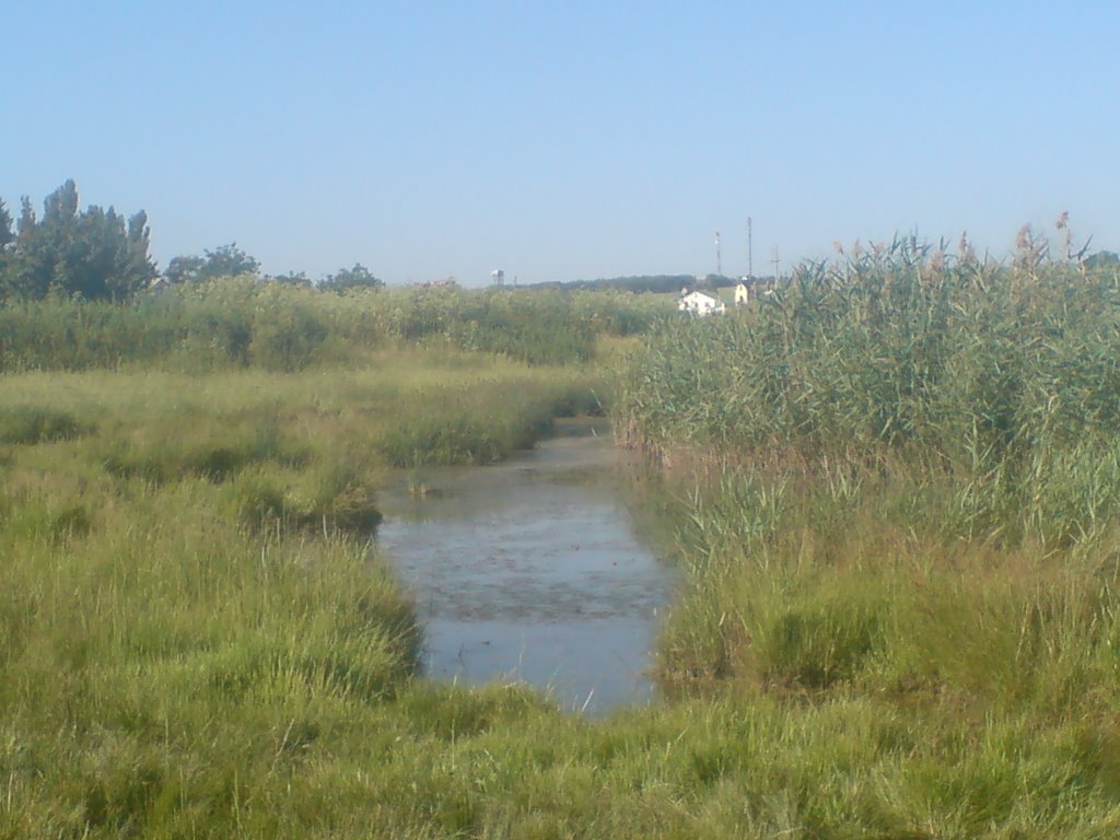 река, Гурзуф