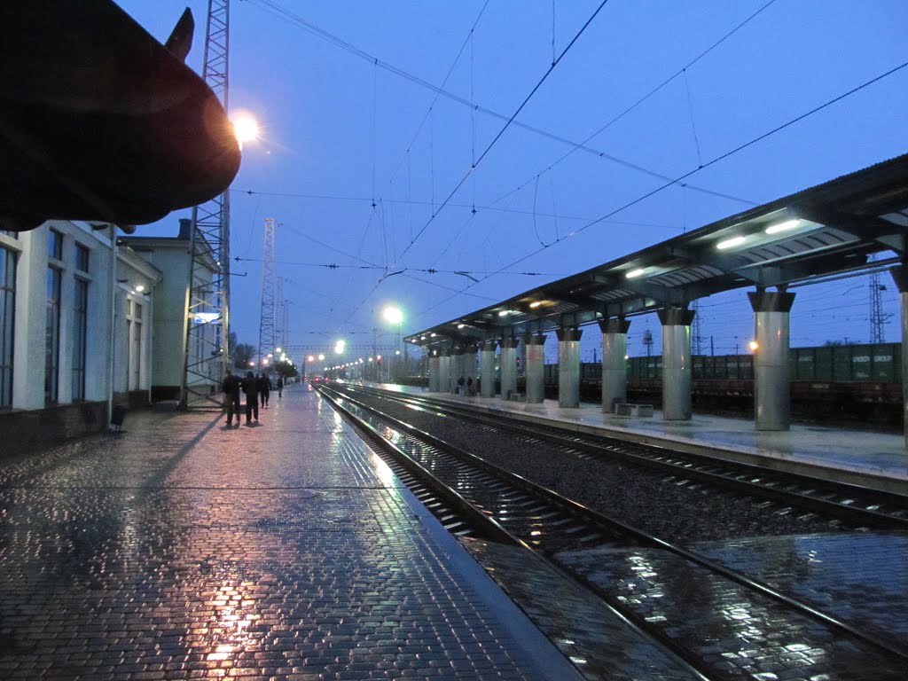 дощ на платформі * rain at the station, Джанкой