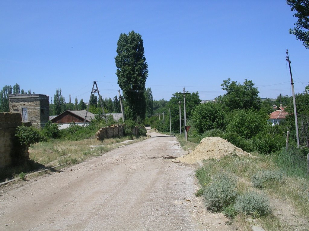 Виноградная улица, Зуя