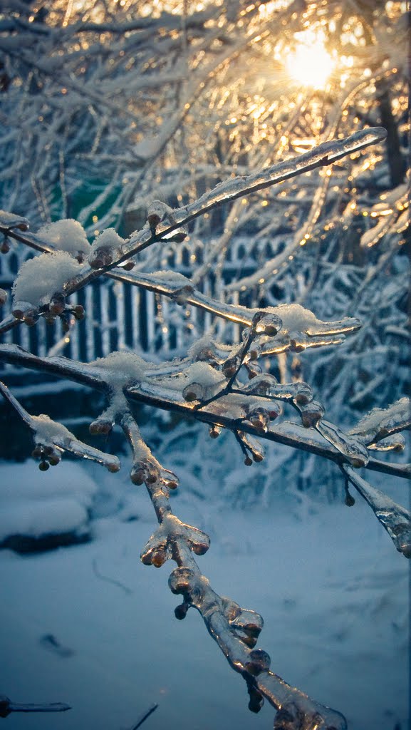 сказочная зима  the fairytale winter, Зуя