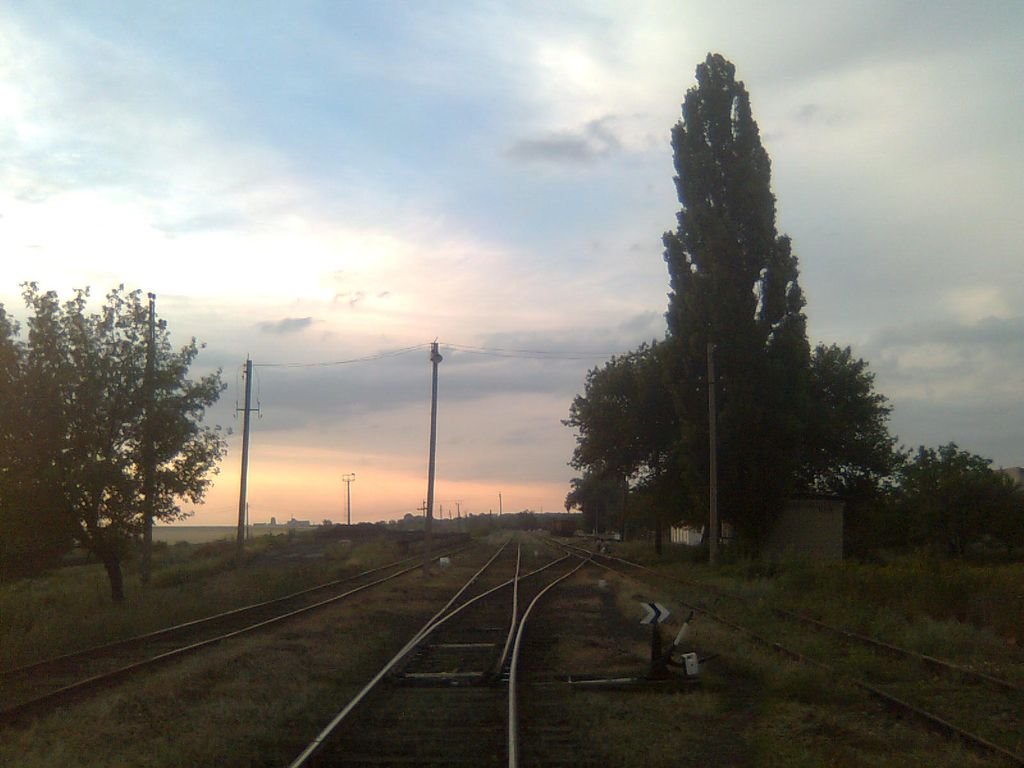 Станция Бункерная Донецкой железной дороги, Кировское