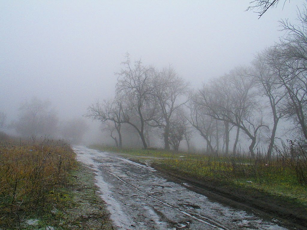 Туманная дорога, Кировское