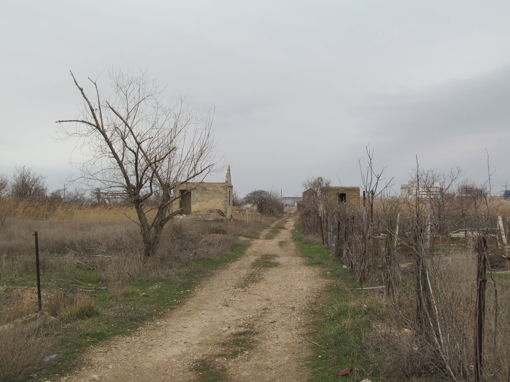 abandoned houses * покинуті садові будиночки, Красноперекопск