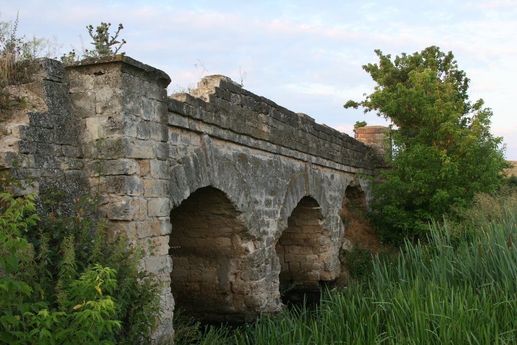 Камяний міст у маєтку Дудиків, Ленино