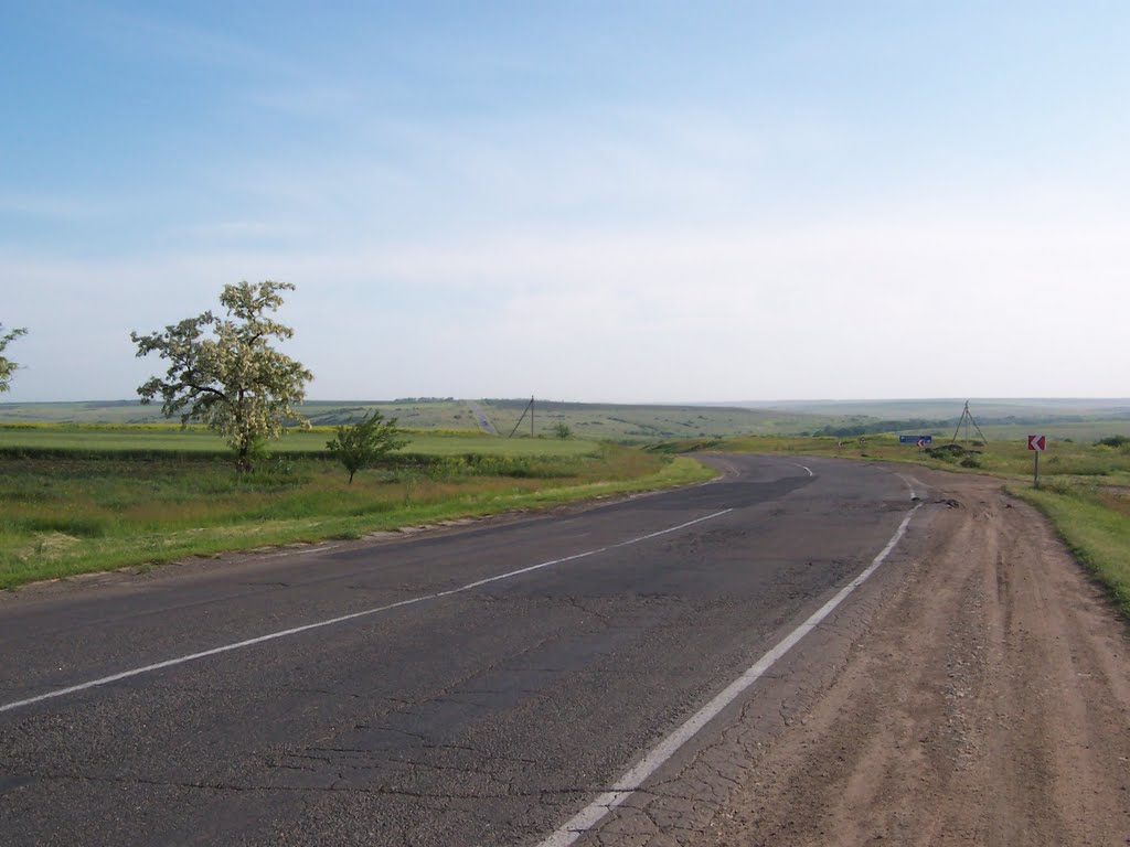 road to Kirovohrad, Ленино