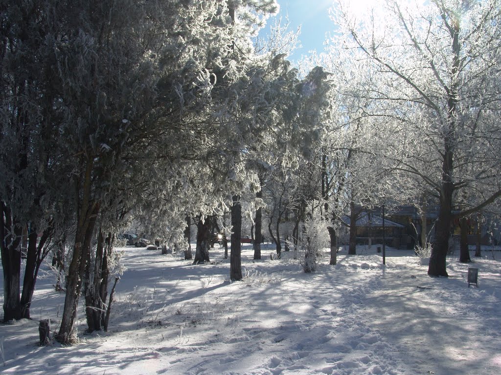 Зима 2014 - 2, Нижнегорский