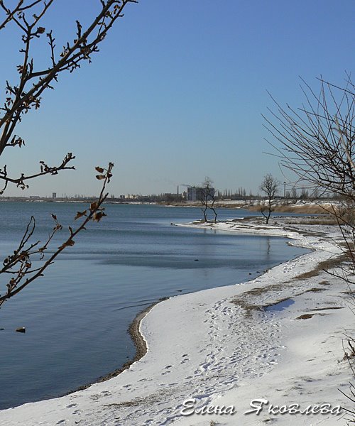 Соленое озеро, зима..., Саки