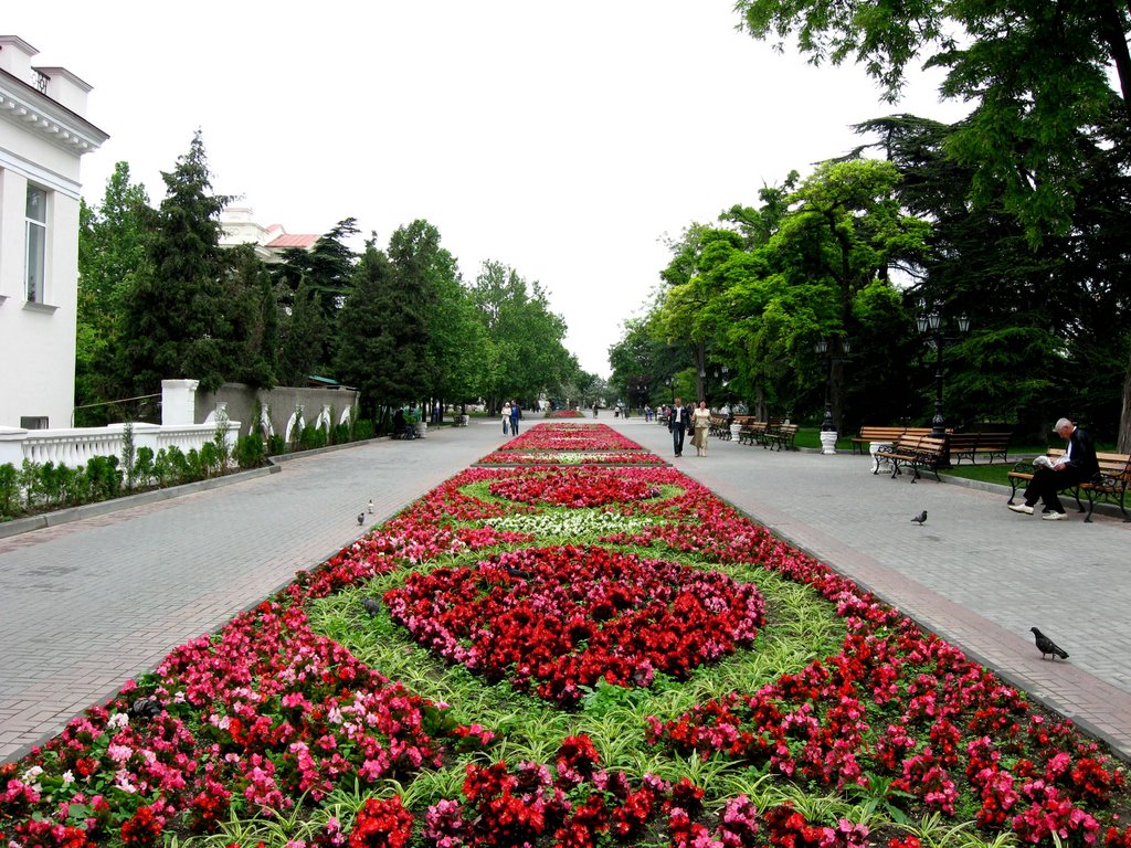 Sevastopol flowers, Севастополь