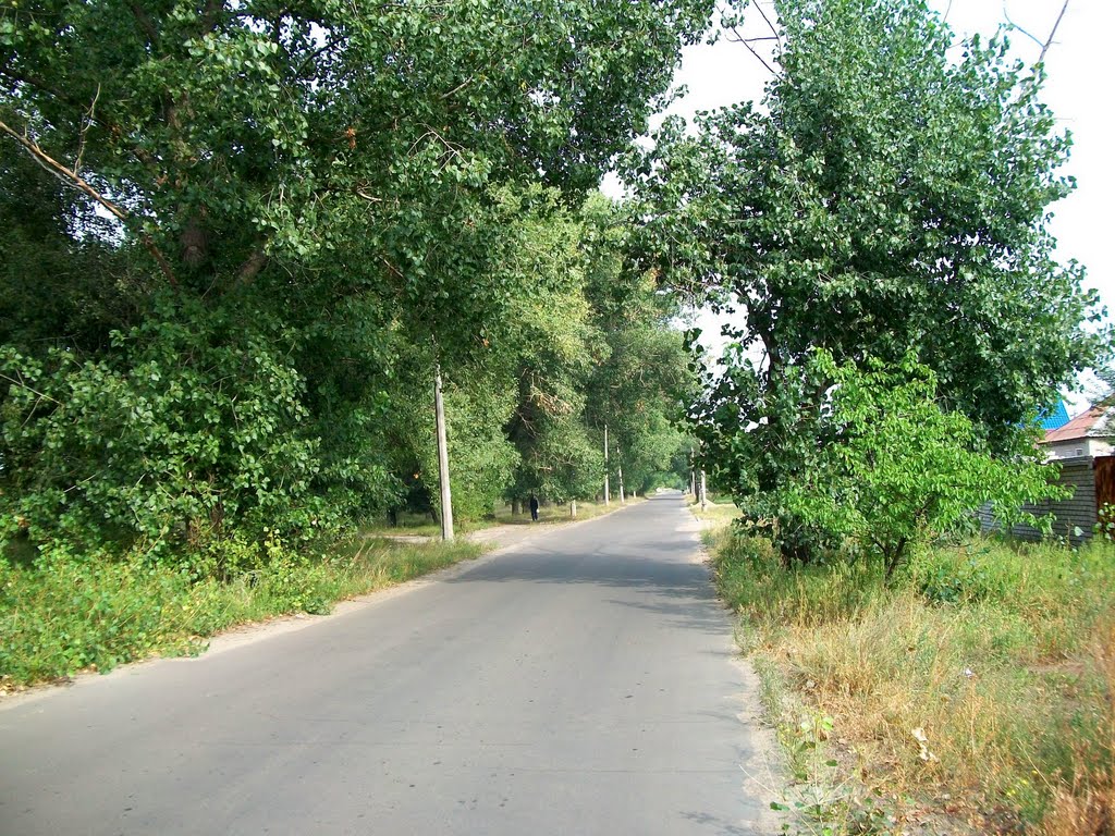 Severnaya street, Severodonetsk, Советский