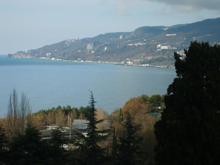 Yalta-2008, Ялта