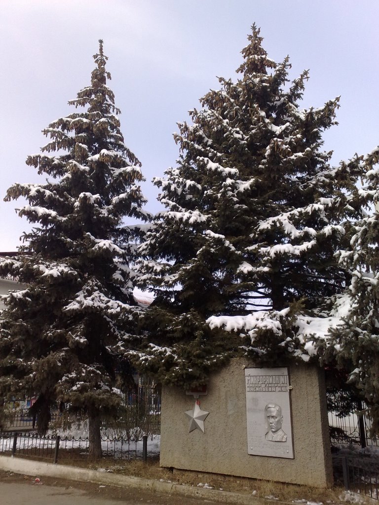памятник генералу васильеву, Армянск