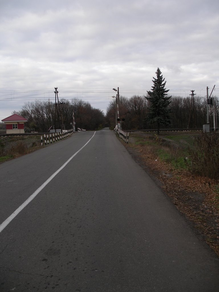 IMGP1249, Алексадровск