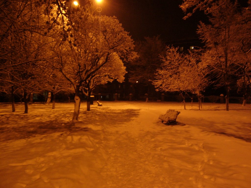 ● Парк возле ДК Химика (зима), Алчевск