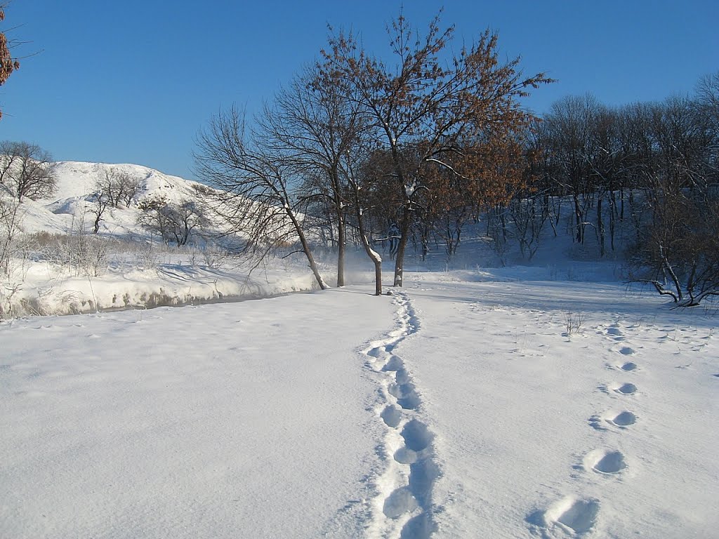На зимней прогулке, Алчевск