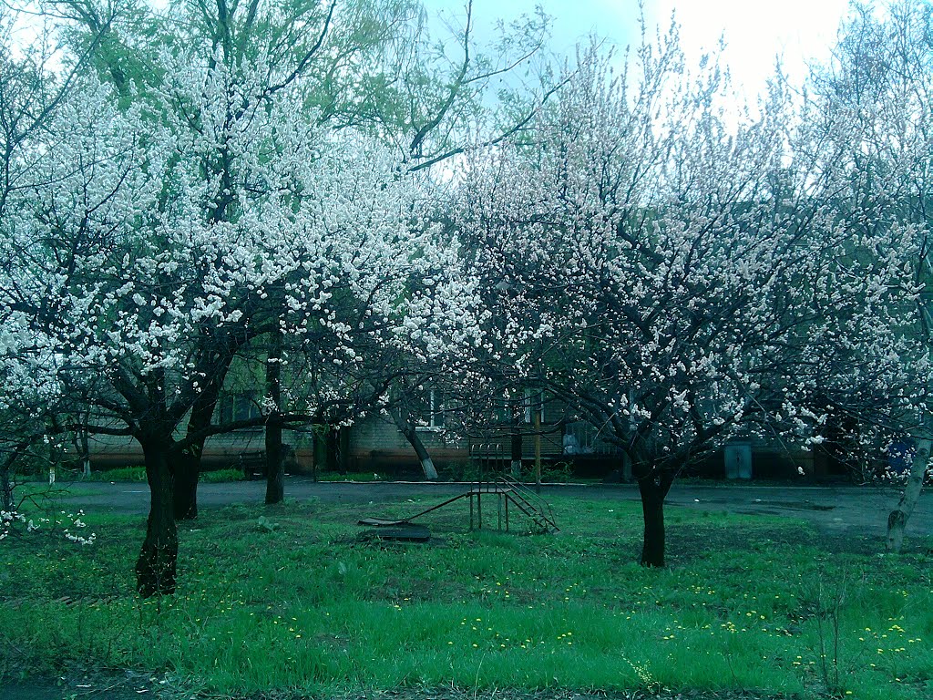Весна в Сутоганском дворике, Белое