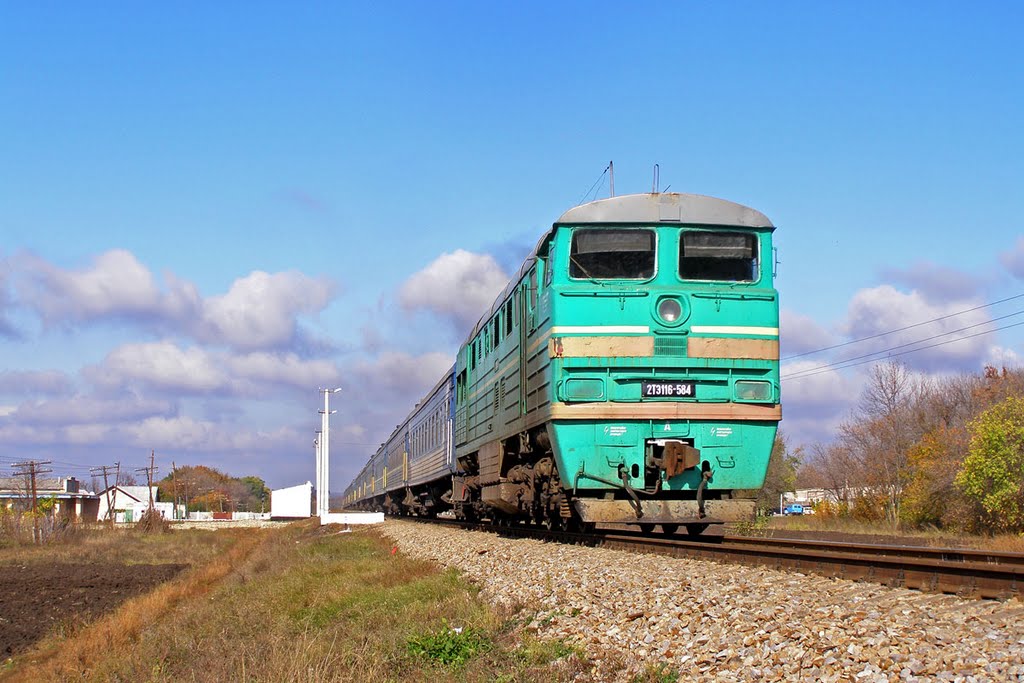 Тепловоз 2ТЭ116-584 с поездом Москва - Луганск, перегон Белокуракино - Старобельск, Белокуракино