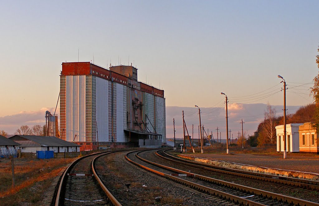 Станция Белокуракино, Белокуракино
