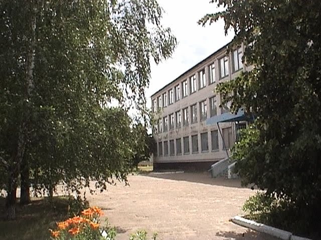 средняя школа, Белолуцк