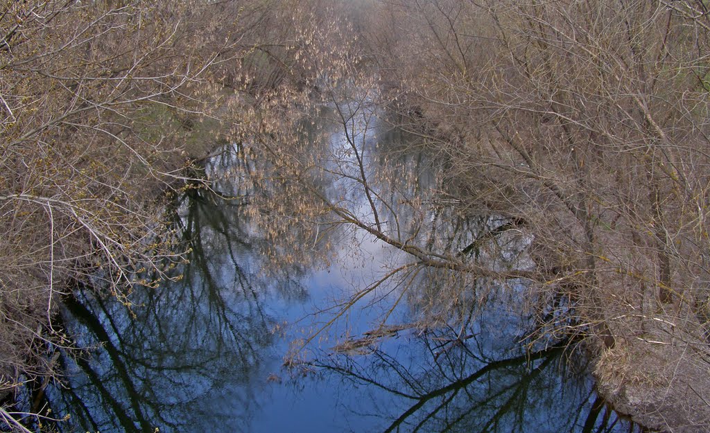 Речка Айдар/River of Aydar, Белолуцк