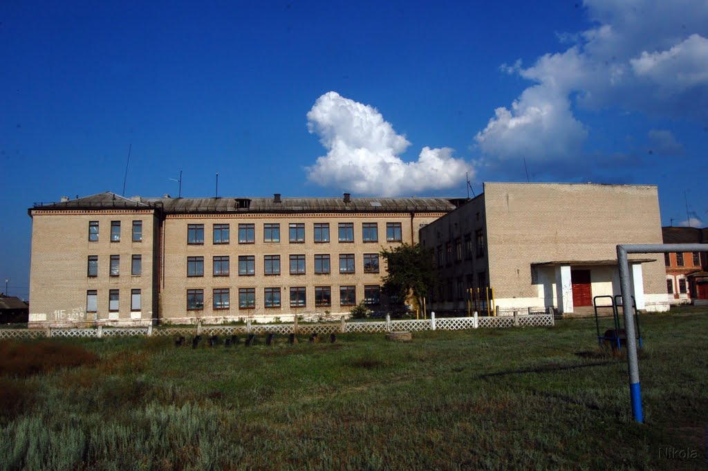 Школа в Боровском, Боровское
