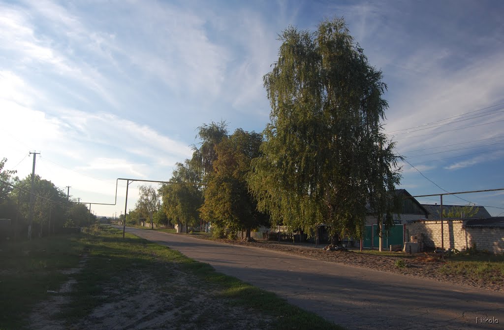 Береза, Боровское