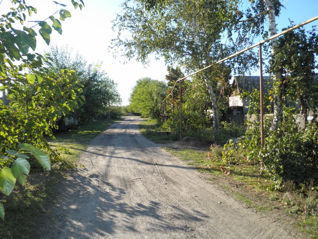 Переулок Восточный, Боровское