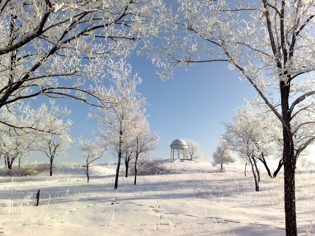 Winter. The highest place in the city (2009), Брянка