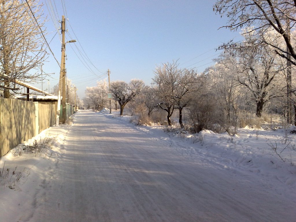 Winter street (2009), Брянка