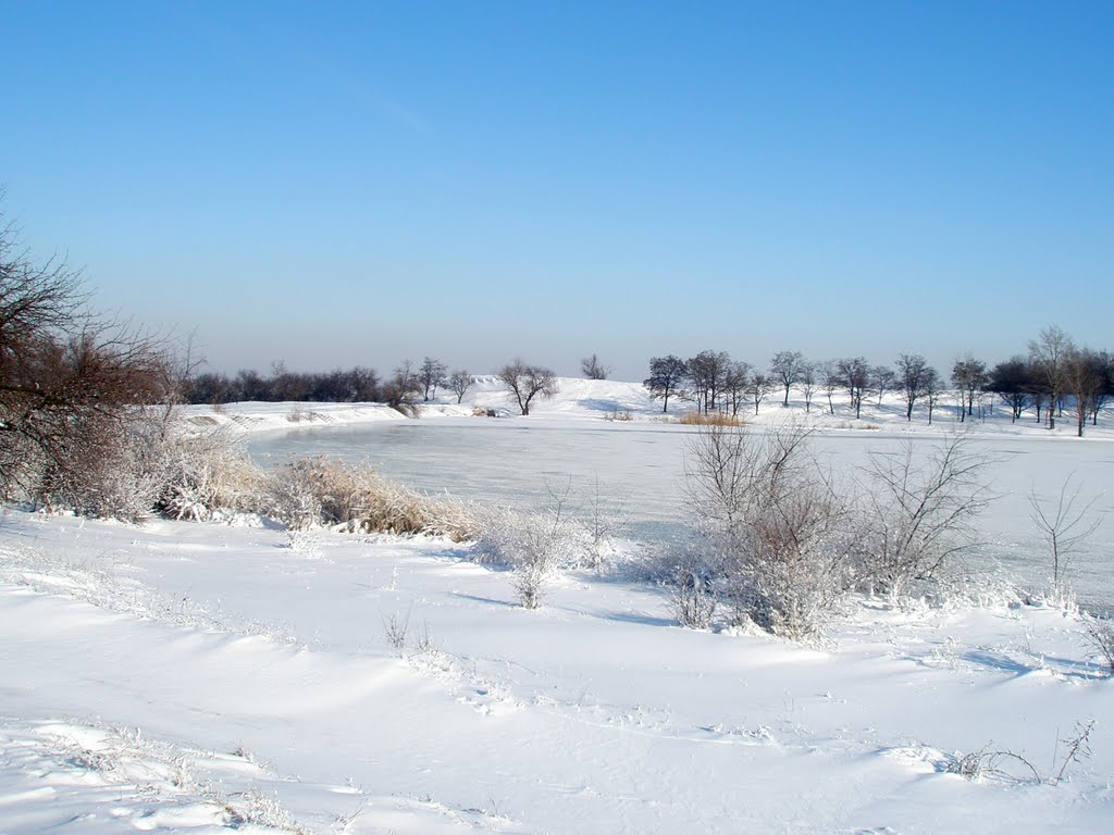 Winter lake (2010), Брянка