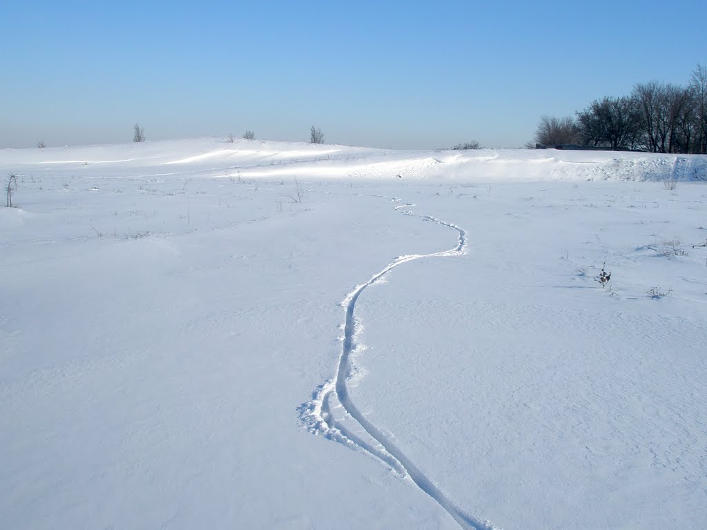 Cart track in winter (2010), Брянка